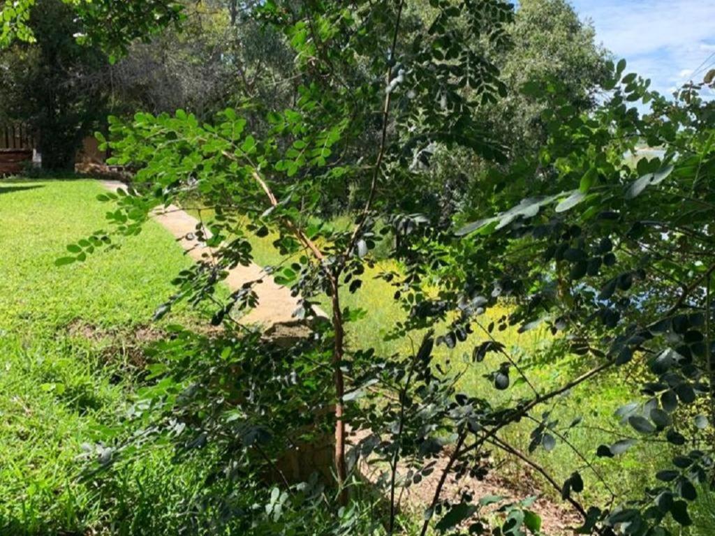Juda Haus Lodge Katima Mulilo Dış mekan fotoğraf