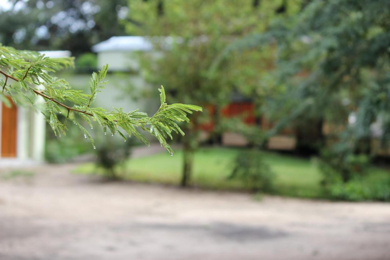 Juda Haus Lodge Katima Mulilo Dış mekan fotoğraf